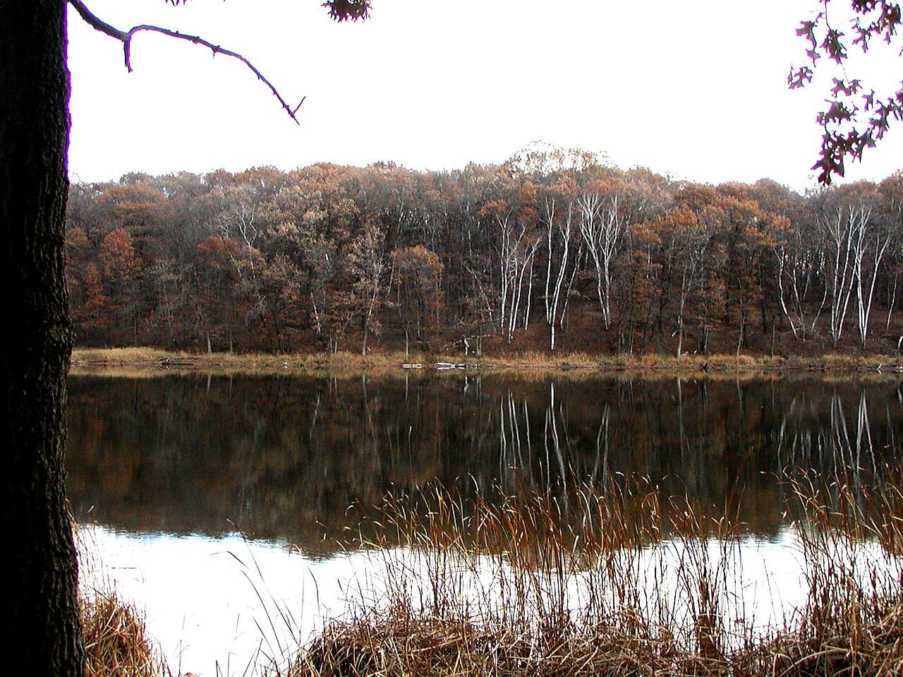 Lebanon Hills Regional Park photo 3